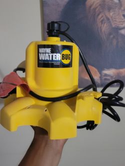 Wayne Water Bug