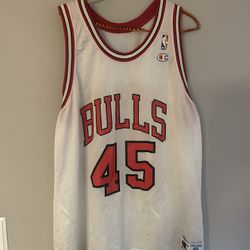 Bulls Champion Jersey Mj 45