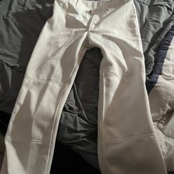 mizuno softball pants