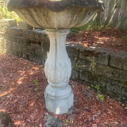 Bird Bath