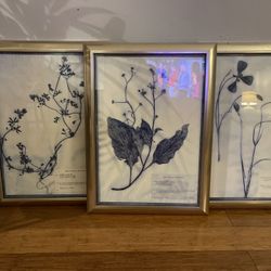 Wall Decor Frames