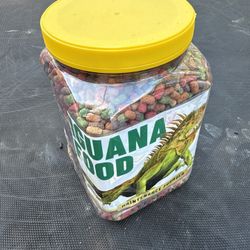 Iguana Food 