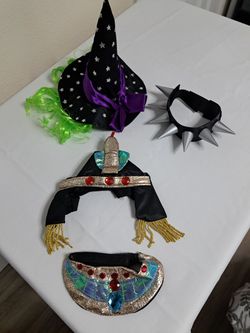 Cat Dog Halloween Costumes $10 (3 Costumes)