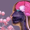 AromaticRelief