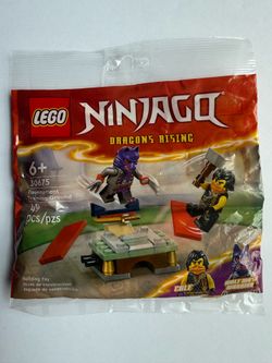 Lego 30675 Ninjago Dragons Rising