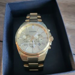 mens gold tone citiizen watch