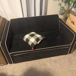 Pull Out Couch