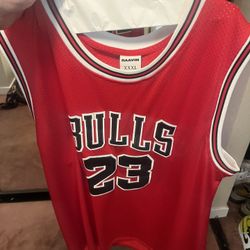 Jordan Jersey 3x 