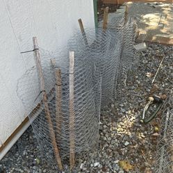 Chicken Wire Fencing 
