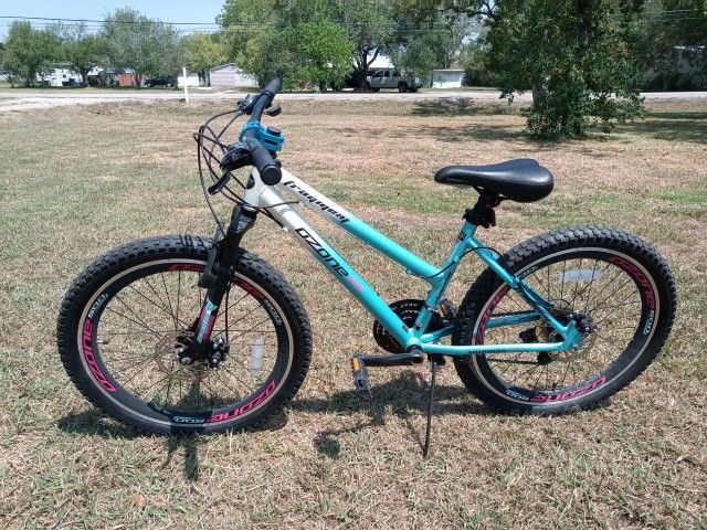 Fragment 24 bike online