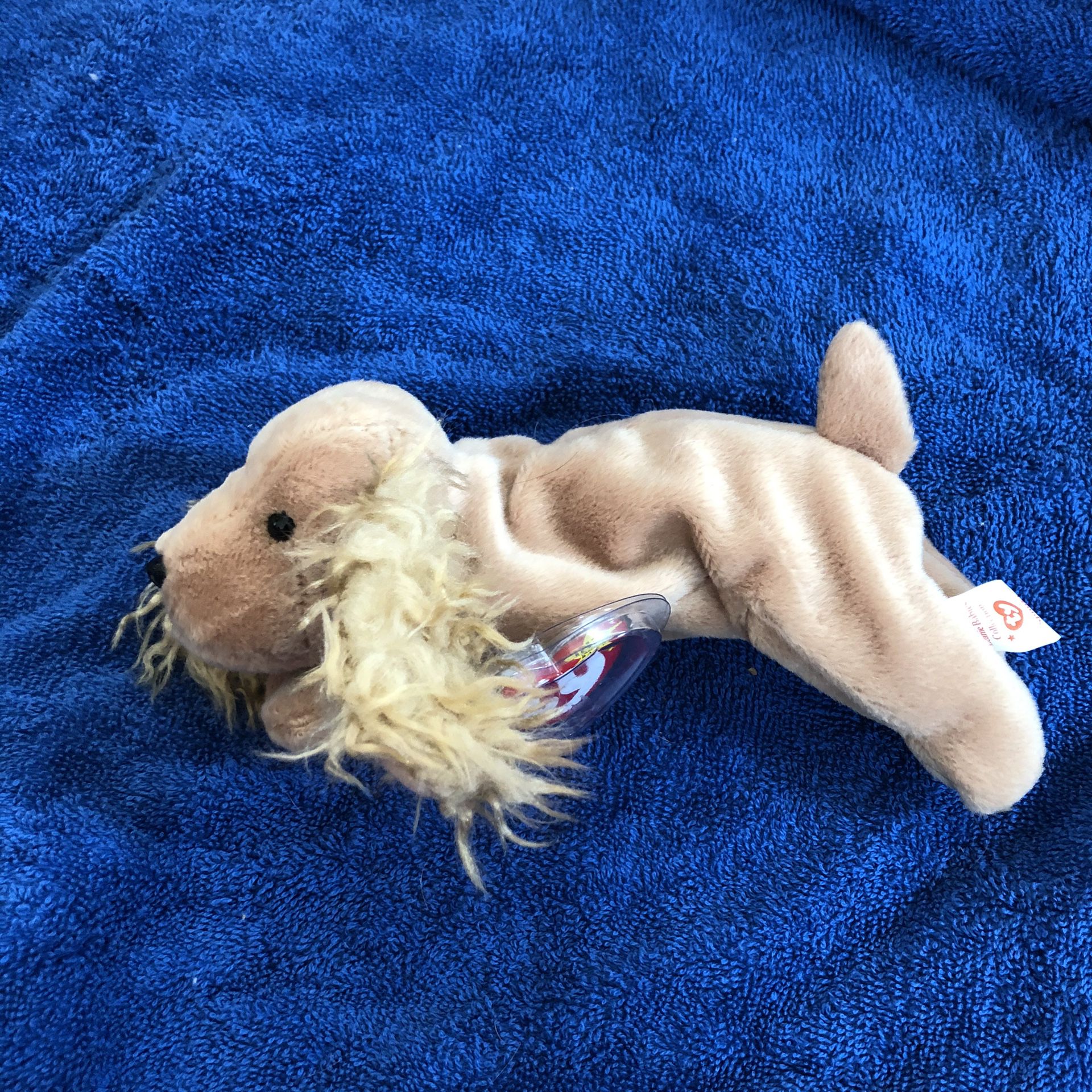 Dog beanie baby with tag
