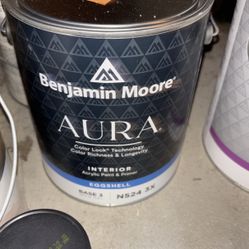 New Benjamin Moore Paint Gallon
