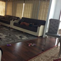 Bed Sofas 
