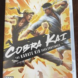 Nintendo Switch Game Cobra Kai 