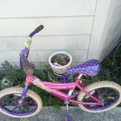 Girls 16inch Bikes