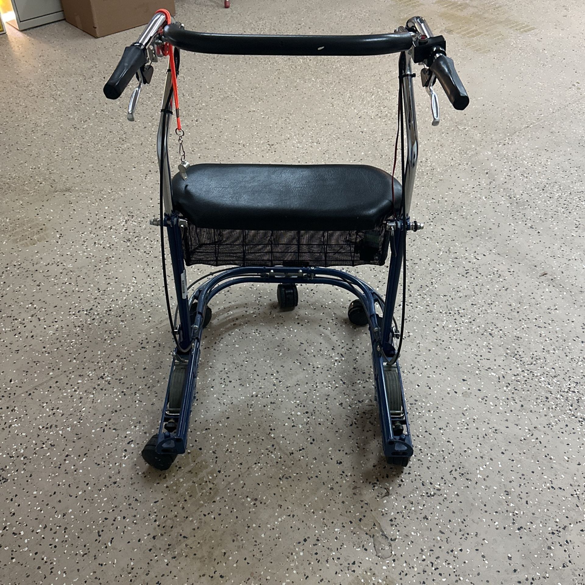 Parkinson’s Walker