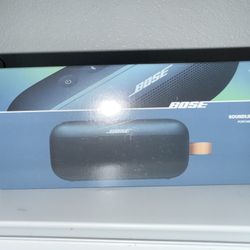 Bose Portable Speaker