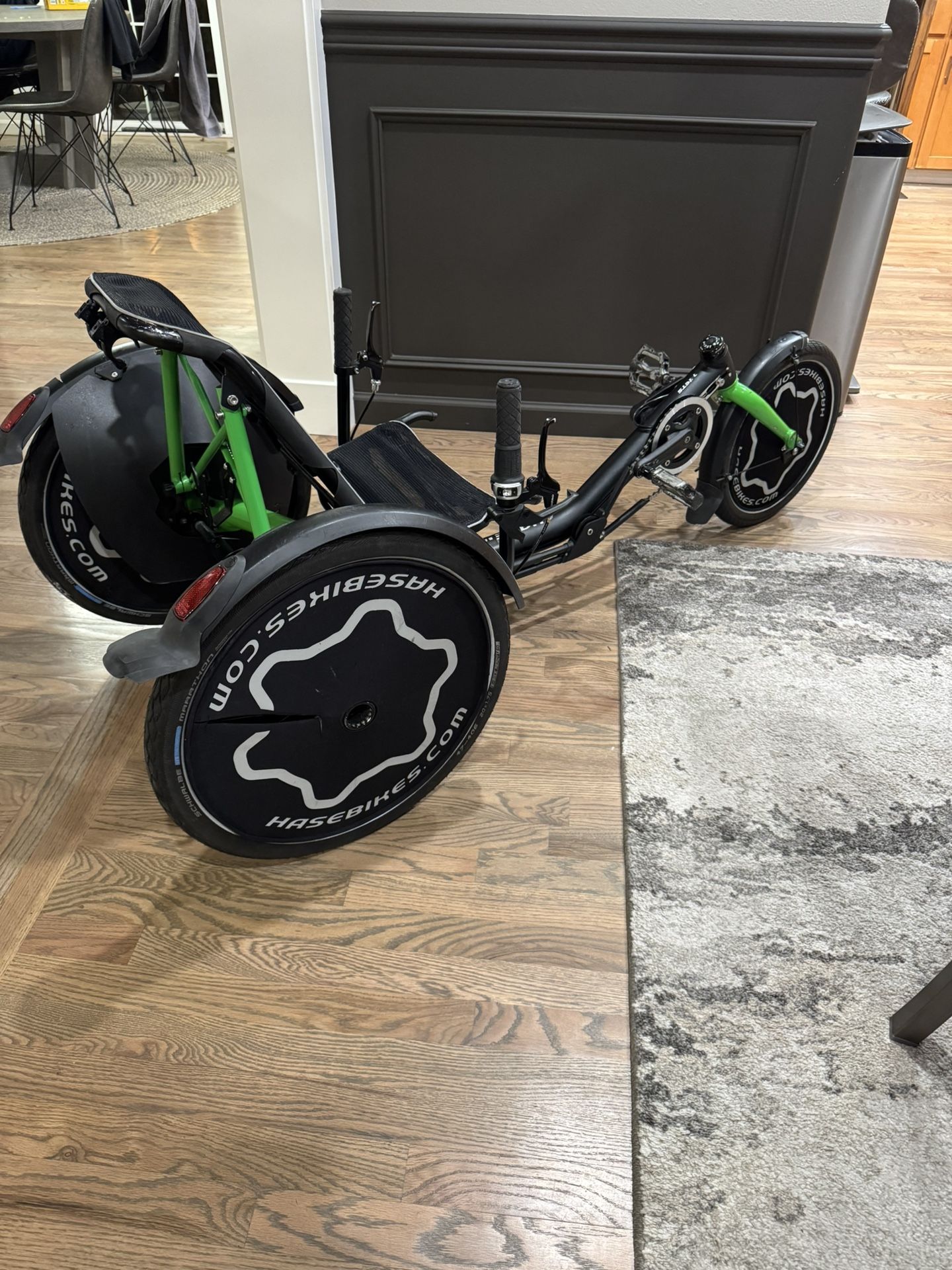 Hase Bikes Trets Recumbent Adaptive Trike