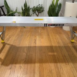 Gorilla Ladder 4’x12”