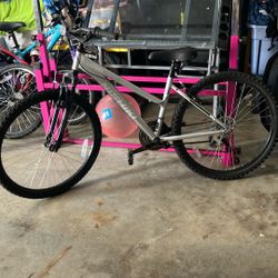 Nishiki Mountain Bike 