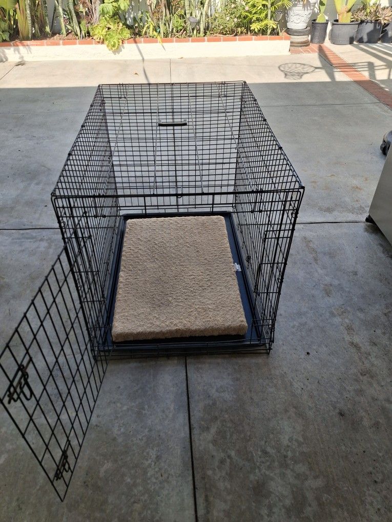Dog Cage