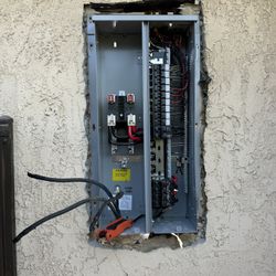 Panel