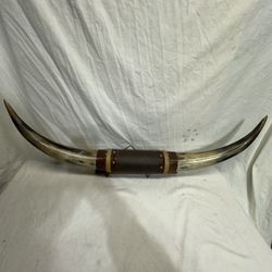 Mounted Rack Of Cattle Horns