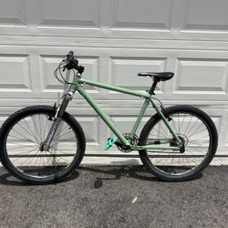 Bianci Hard Tail Mountain Bike
