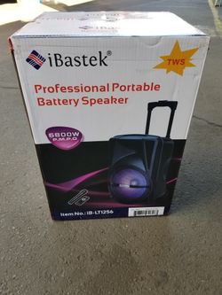 Ibastek 12" Speaker