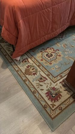 Area Rug 79” X 9’3”