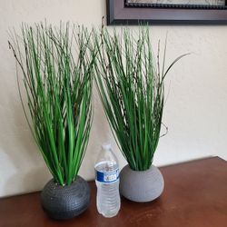 Artifical Pant ( 2) Decor