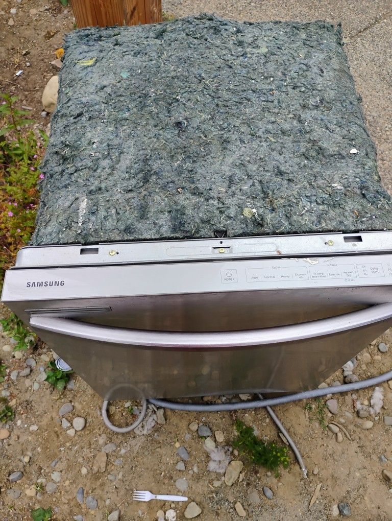 Dishwasher Lavavajillas
