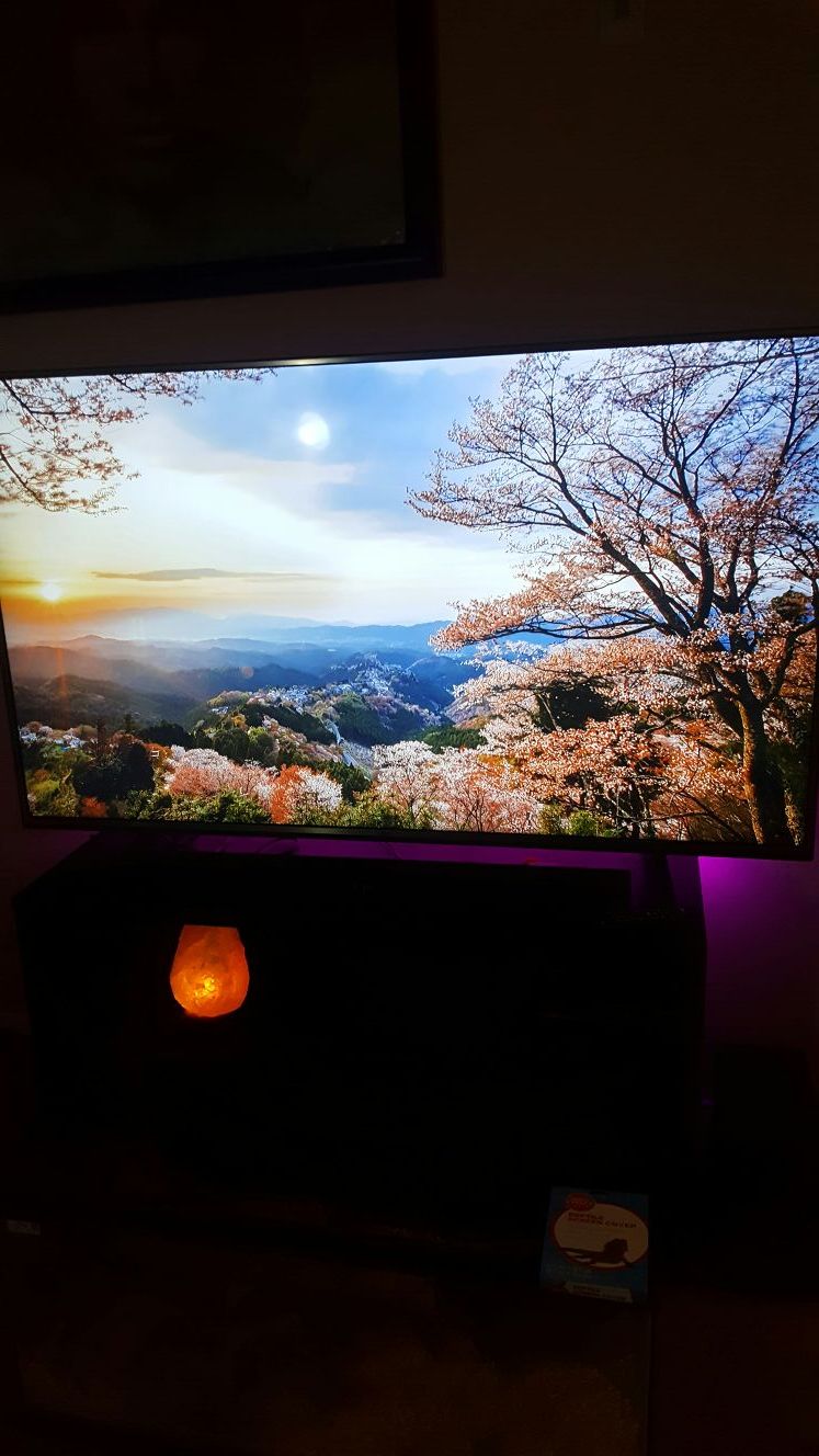 65" LG 4K TV HDR 65UH6030