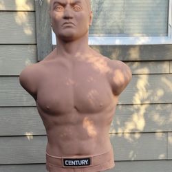 Bob Punching 👊 Kicking Bag Dummy