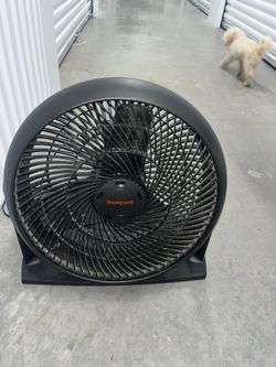 Fan 