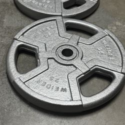 Pair Of 25 Pound Weider Standard Size Weights