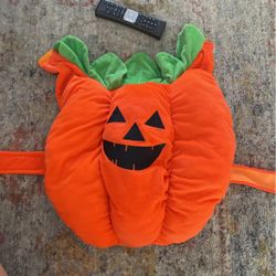 Halloween Costume For Dog Medium 
