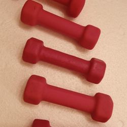 5 One Pound Weights $8