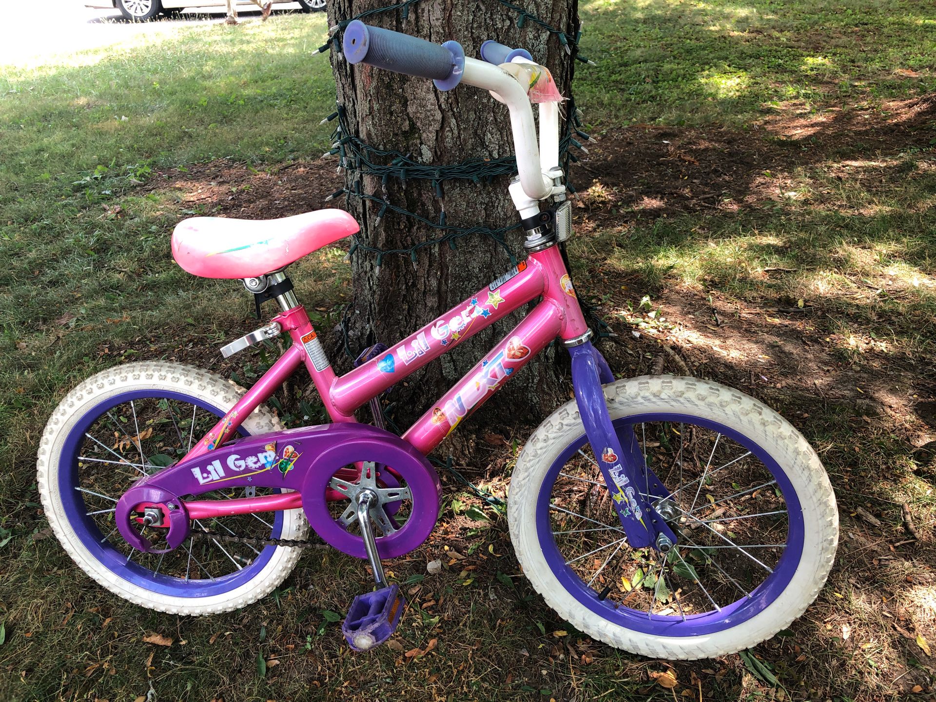 Bike for girls 16 inches