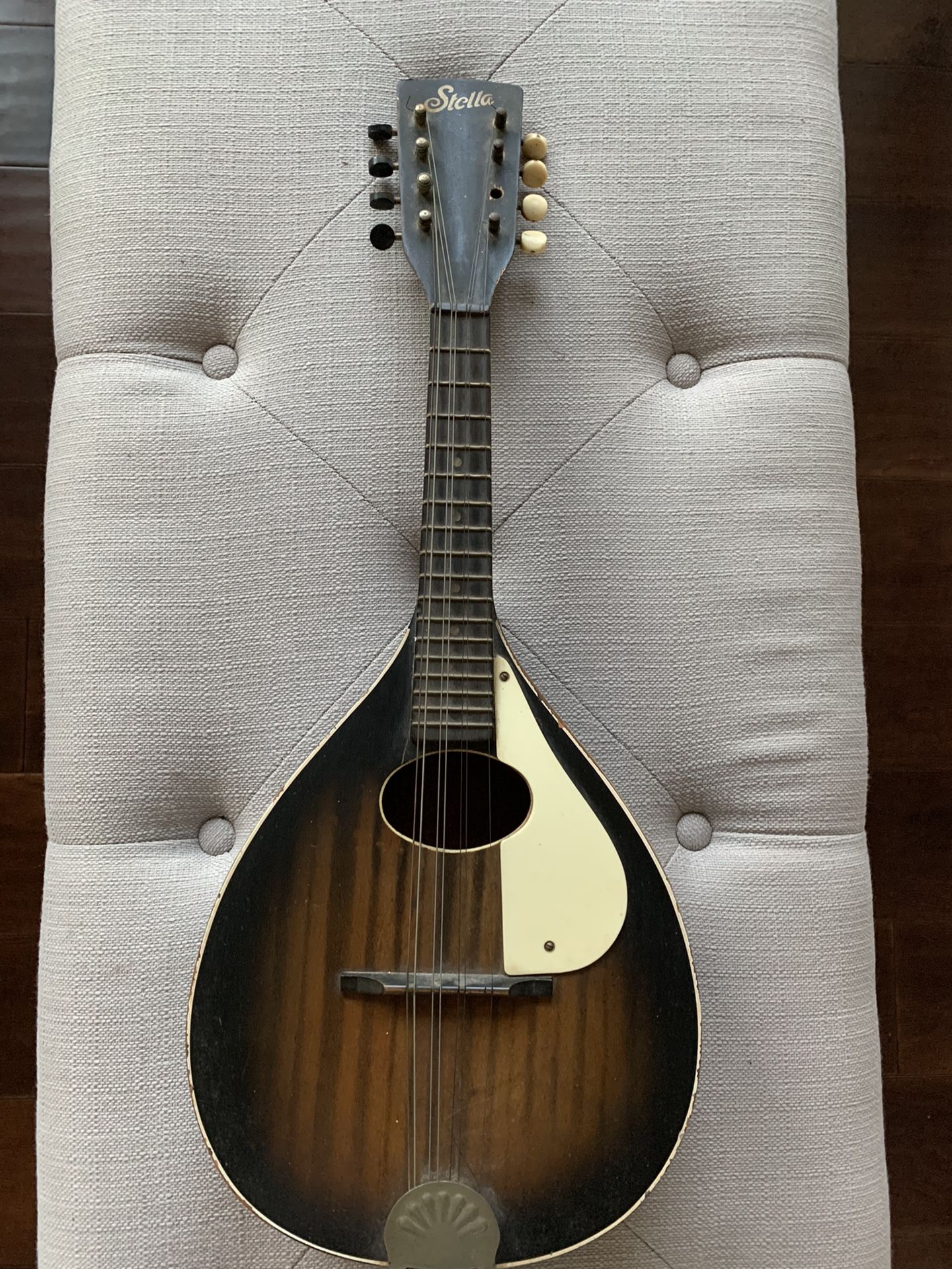 Vintage Stella Mandolin