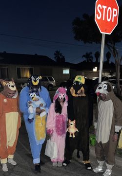Bluey (heeler family) & friends constume