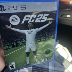 FC25 game