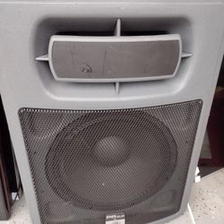 Peavey 15" Subwoofer Speaker