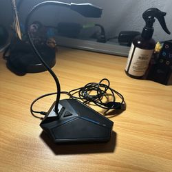 Computer mic