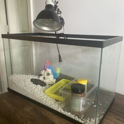 Aquatic Turtle Needs (Heating Lamp Included)
