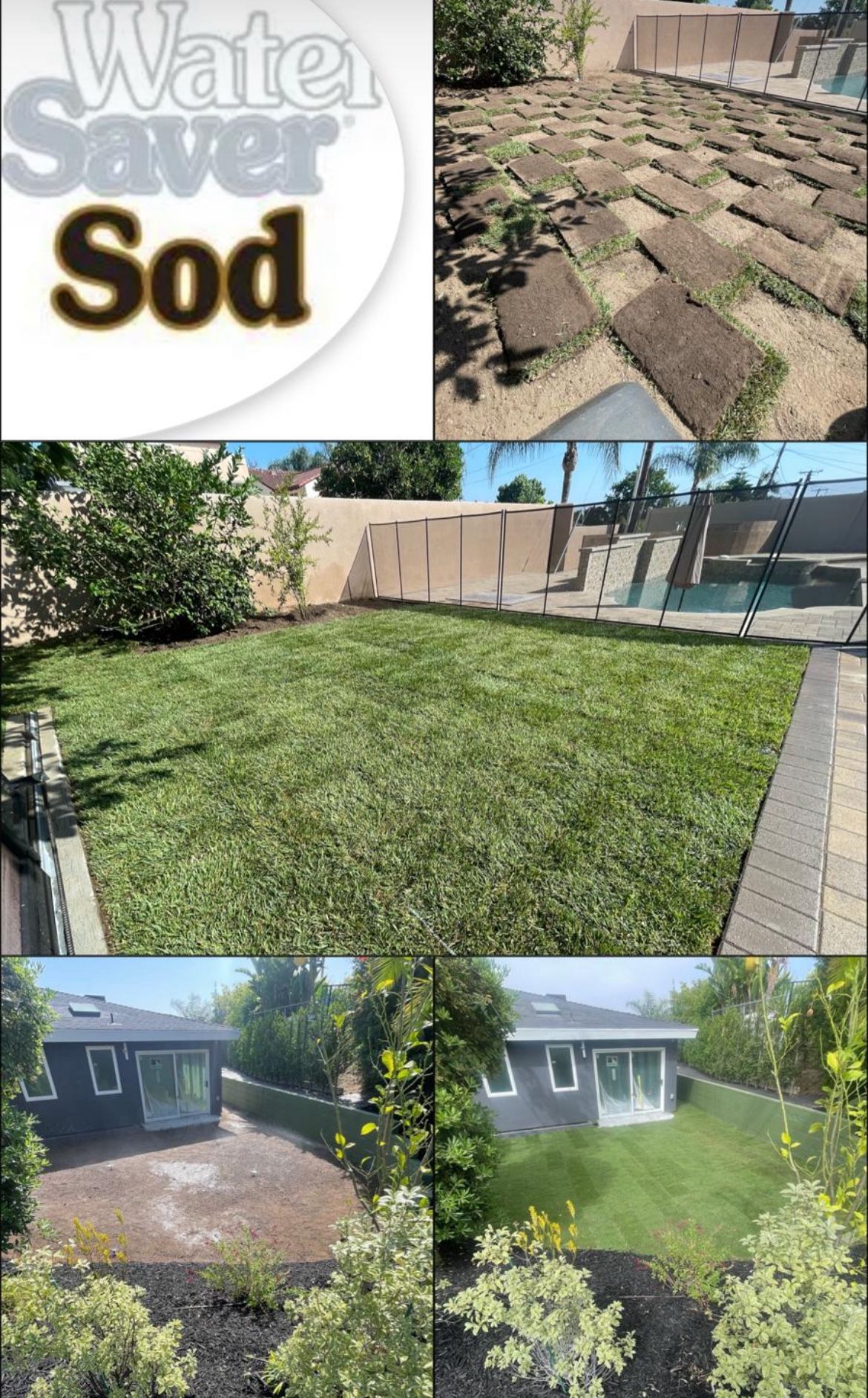 Fresh Sod $3 Per Sq/ Ft