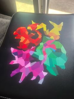 Pokemon card binder