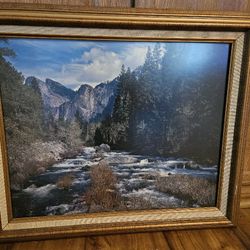 Yosemite Framed Wall Print
