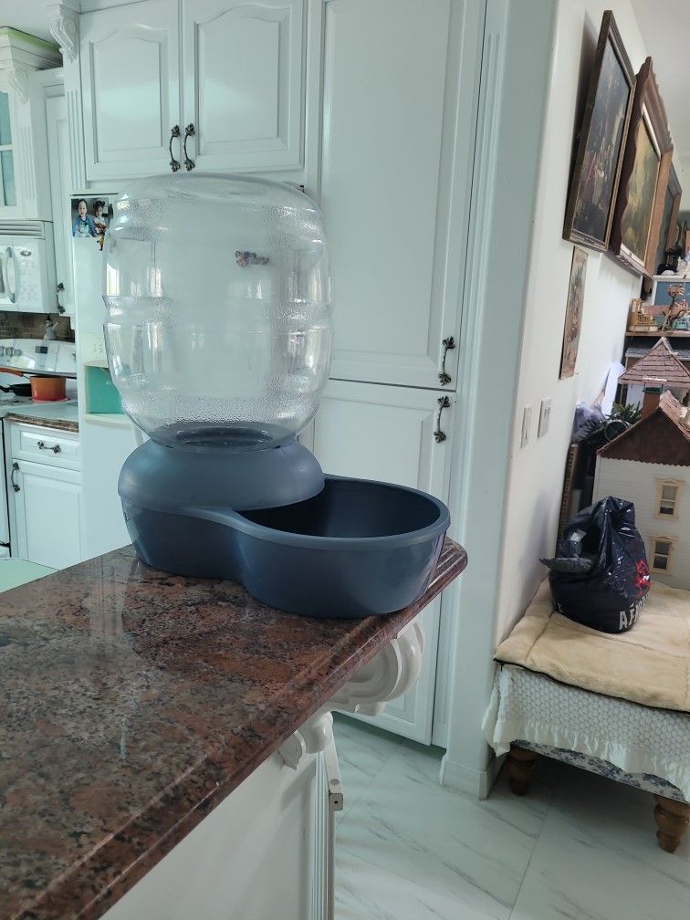 Water Fountain For Dog