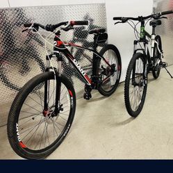 X2 (29er Giant And Nishiki  Bicycle)